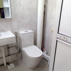 Blk 266 Bishan Street 24 (Bishan), HDB 5 Rooms #470556431